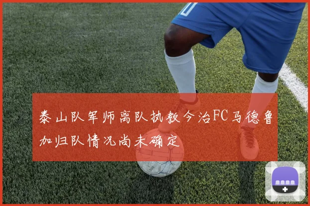 泰山队军师离队执教今治FC马德鲁加归队情况尚未确定