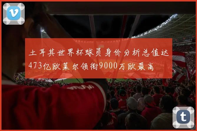 土耳其世界杯球员身价分析总值达473亿欧莱尔领衔9000万欧最高