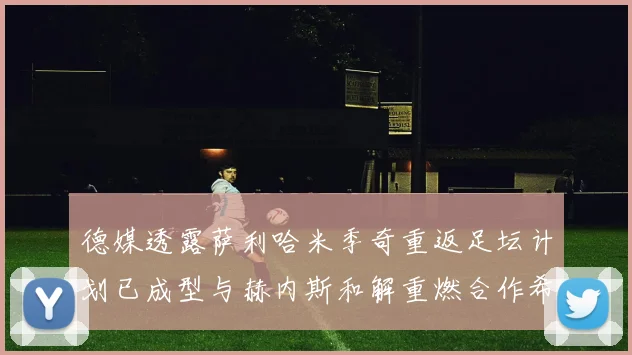 德媒透露萨利哈米季奇重返足坛计划已成型与赫内斯和解重燃合作希望